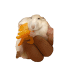 のびまろでち。（個別スタンプ：19）