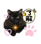 黒猫 ルナ院長61にゃんめ（個別スタンプ：2）