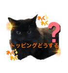 黒猫 ルナ院長61にゃんめ（個別スタンプ：3）