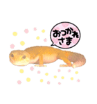 レオパプー（個別スタンプ：2）