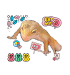 レオパプー（個別スタンプ：22）