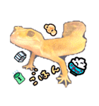 レオパプー（個別スタンプ：25）