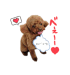 犬のつぶやきぃ（個別スタンプ：3）