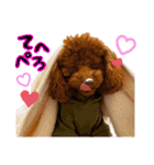犬のつぶやきぃ（個別スタンプ：6）