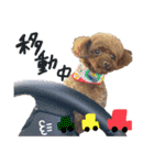 犬のつぶやきぃ（個別スタンプ：8）