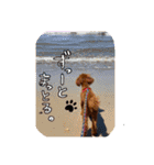 犬のつぶやきぃ（個別スタンプ：11）