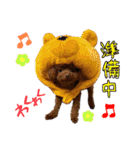犬のつぶやきぃ（個別スタンプ：17）