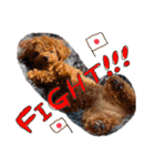犬のつぶやきぃ（個別スタンプ：18）