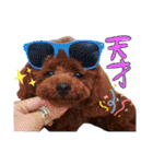 犬のつぶやきぃ（個別スタンプ：22）
