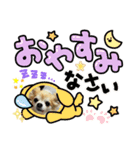 愛犬！チロルスタンプ（個別スタンプ：3）