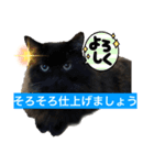 黒猫 ルナ院長62にゃんめ（個別スタンプ：1）