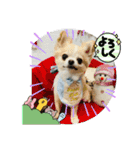 ししまるLOVE②（個別スタンプ：3）