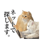 もふもふ猫スタンプ5 withネコランド家（個別スタンプ：11）