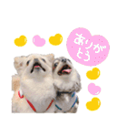 ソラカイと時々しま男（個別スタンプ：1）