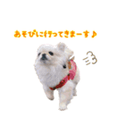 ソラカイと時々しま男（個別スタンプ：3）