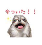 ソラカイと時々しま男（個別スタンプ：6）