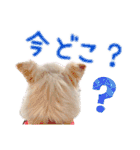 ソラカイと時々しま男（個別スタンプ：7）