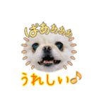 ソラカイと時々しま男（個別スタンプ：12）