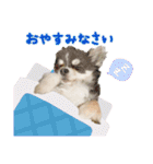 ソラカイと時々しま男（個別スタンプ：13）
