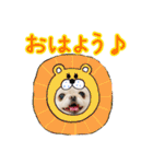 ソラカイと時々しま男（個別スタンプ：14）