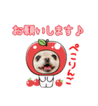 ソラカイと時々しま男（個別スタンプ：16）