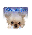 ソラカイと時々しま男（個別スタンプ：20）