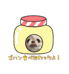 ソラカイと時々しま男（個別スタンプ：21）