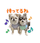 ソラカイと時々しま男（個別スタンプ：31）
