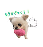 ソラカイと時々しま男（個別スタンプ：35）