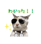 ソラカイと時々しま男（個別スタンプ：38）