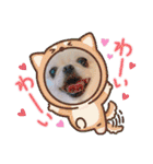ソラカイと時々しま男（個別スタンプ：40）