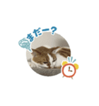 マオノアうた1（個別スタンプ：6）