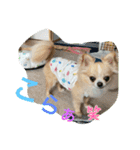 ししまるLOVE（個別スタンプ：9）