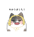 earmuff cat(敬語)（個別スタンプ：7）