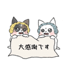 earmuff cat(敬語)（個別スタンプ：16）