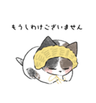 earmuff cat(敬語)（個別スタンプ：20）