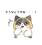 earmuff cat(敬語)（個別スタンプ：40）