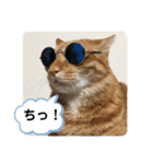なつめ The orange tabby 2（個別スタンプ：9）