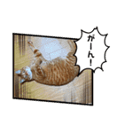 なつめ The orange tabby 2（個別スタンプ：11）