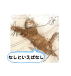 なつめ The orange tabby 2（個別スタンプ：29）