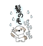 【Big】シーズー犬 115『雨嫌い！』（個別スタンプ：3）
