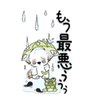 【Big】シーズー犬 115『雨嫌い！』（個別スタンプ：12）