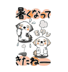 【Big】シーズー犬 115『雨嫌い！』（個別スタンプ：15）