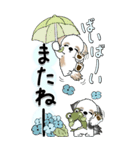 【Big】シーズー犬 115『雨嫌い！』（個別スタンプ：39）