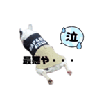 毒舌おもたん（個別スタンプ：5）