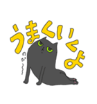 ジト目の黒猫さん（個別スタンプ：4）