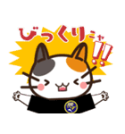 コリねこちゃんスタンプ（個別スタンプ：5）