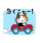 コリねこちゃんスタンプ（個別スタンプ：6）