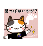 コリねこちゃんスタンプ（個別スタンプ：11）