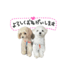 Ten＆Fuku（個別スタンプ：3）